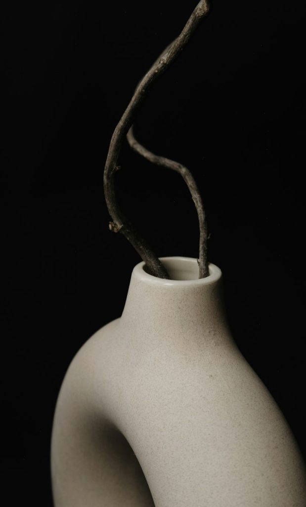 Vase blanc sur fond sombre